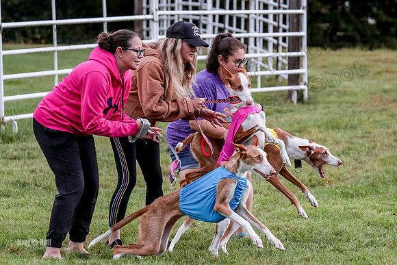 Prelims, Open B2 Reina Eden Joanna-6547