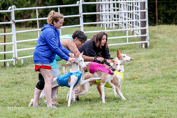 Prelims, Open C1 Church Birdie Haila-6624