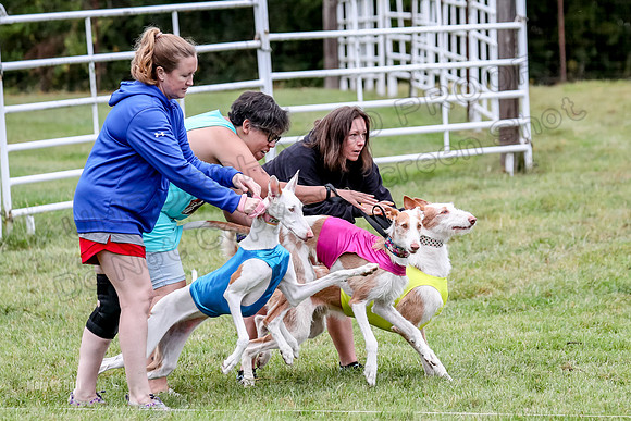 Prelims, Open C1 Church Birdie Haila-6625
