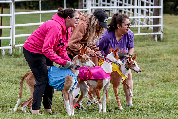 Prelims, Open B2 Reina Eden Joanna-6539