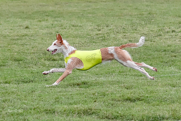 Prelims, Open C1 Church Birdie Haila-6687