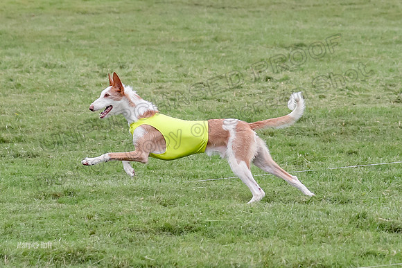 Prelims, Open C1 Church Birdie Haila-6686