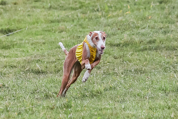 Prelims, Open B2 Reina Eden Joanna-6577