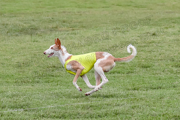 Prelims, Open C1 Church Birdie Haila-6690