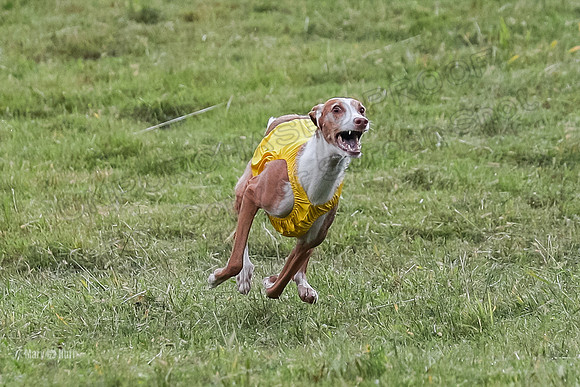 Prelims, Open B2 Reina Eden Joanna-6575