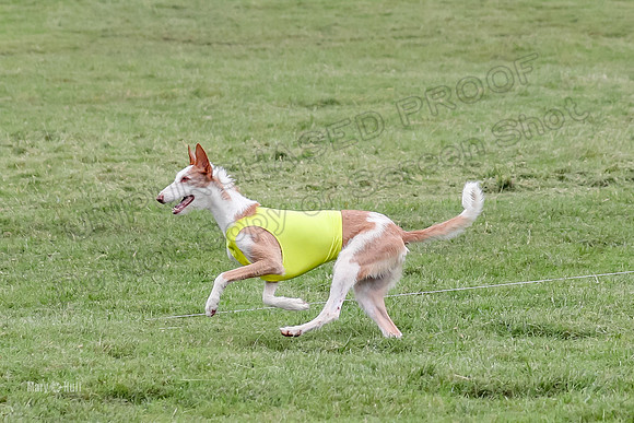 Prelims, Open C1 Church Birdie Haila-6685