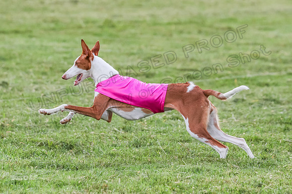 Prelims, Open B2 Reina Eden Joanna-6607