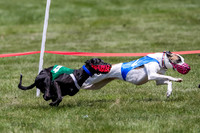 Prg 4, Race 9, Thunder, Anna, Gibbs, Ocho