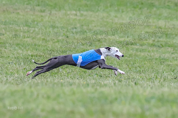 Prelim Open B2, Easy Cardi Minerva-8434