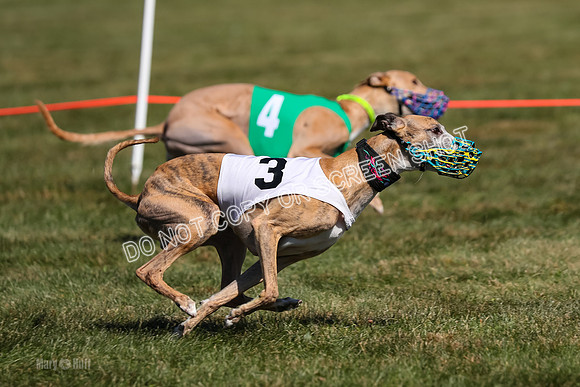Prg 3, Race 11, Jamie Thunder Dusty Rarity-2235