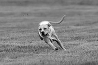Prelims Zara-0804-2