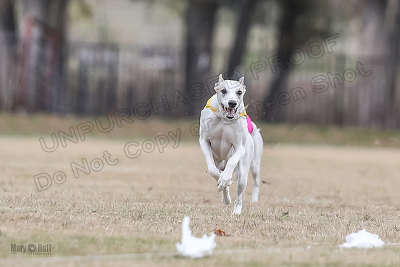 Finals Open 2 Cheese PeteySue Treble-3955
