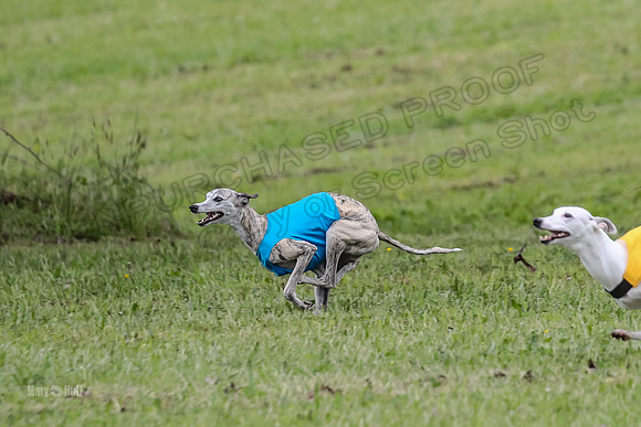 Prelim Veterans 3, Hattie Marley Jewel-0146