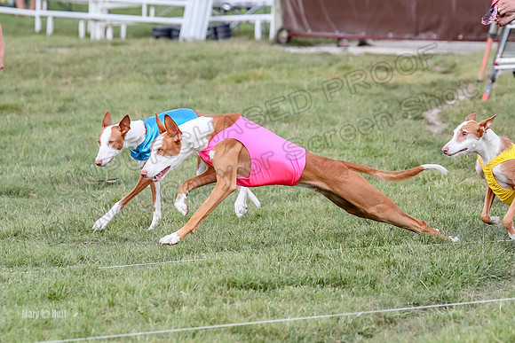 Finals, Open B1, Reina Luka Eden-7674