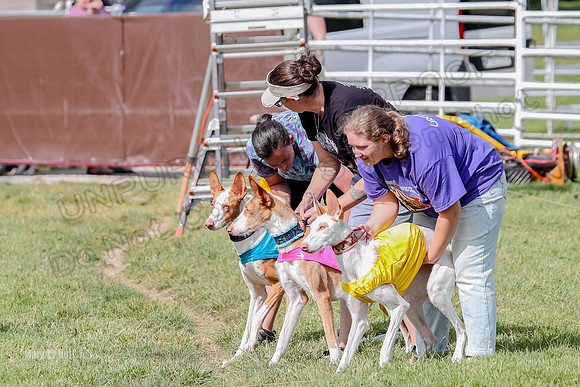Finals, Open B2 Willow Zest Juma-7756