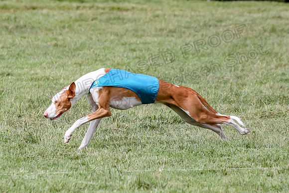 Finals, Open B2 Willow Zest Juma-7768