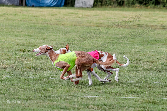 Finals, Open A2 Nyx Hugo Junior-7594