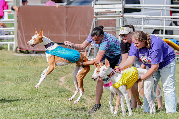 Finals, Open B2 Willow Zest Juma-7762