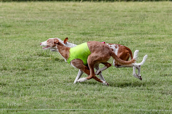 Finals, Open A2 Nyx Hugo Junior-7603