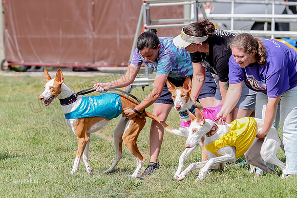 Finals, Open B2 Willow Zest Juma-7759