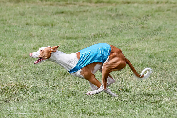 Finals, Open B2 Willow Zest Juma-7770