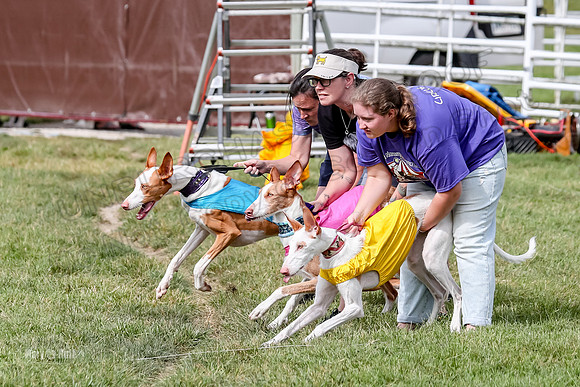 Finals, Open B2 Willow Zest Juma-7764