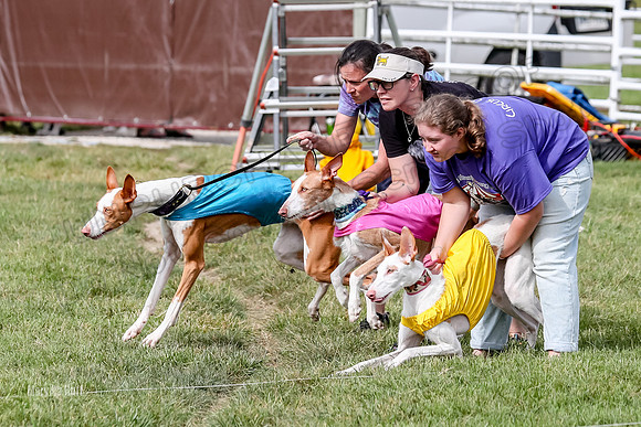 Finals, Open B2 Willow Zest Juma-7766