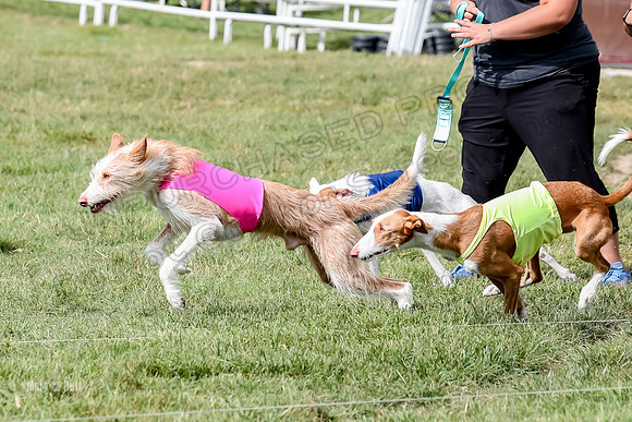 Finals, Open A1 Alaina Nreo Alba-7507