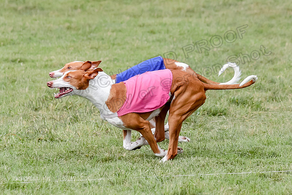 Finals, Specials 3 Libby Ginny Luna-7432