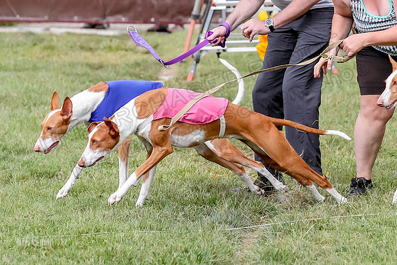 Finals, Specials 3 Libby Ginny Luna-7425