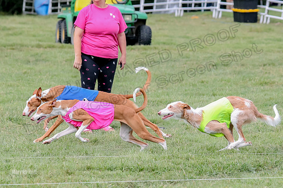 Finals, Specials 2 Fern Beastie Penny-7337