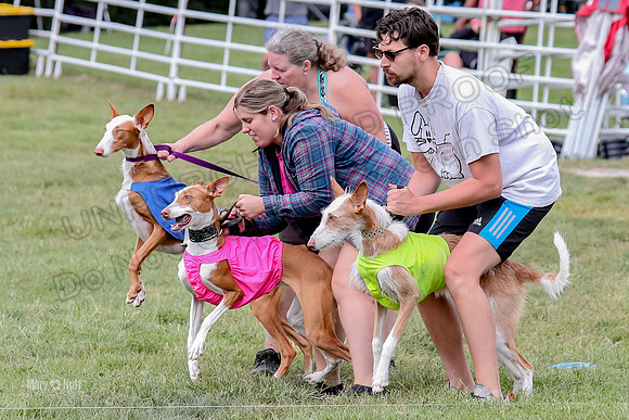 Finals, Specials 2 Fern Beastie Penny-7323