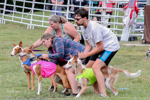 Finals, Specials 2 Fern Beastie Penny-7327