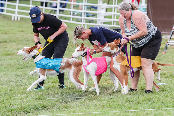 Finals, Specials 1 Madyson Thorn Ionia-7207