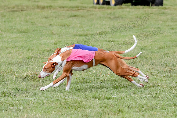 Finals, Specials 3 Libby Ginny Luna-7434