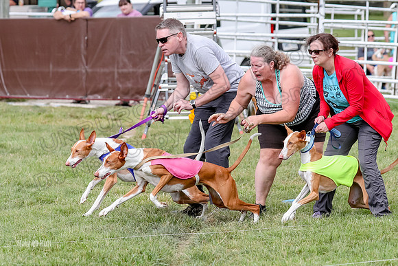 Finals, Specials 3 Libby Ginny Luna-7424