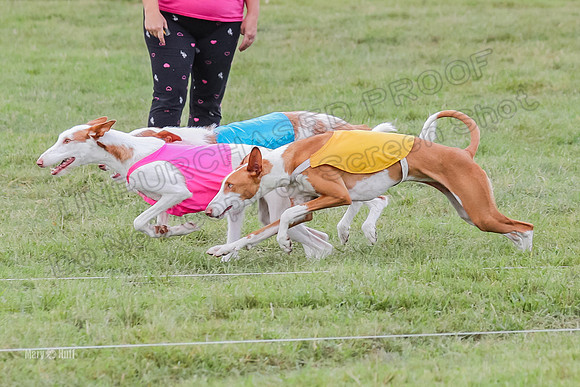 Finals, Specials 1 Madyson Thorn Ionia-7239