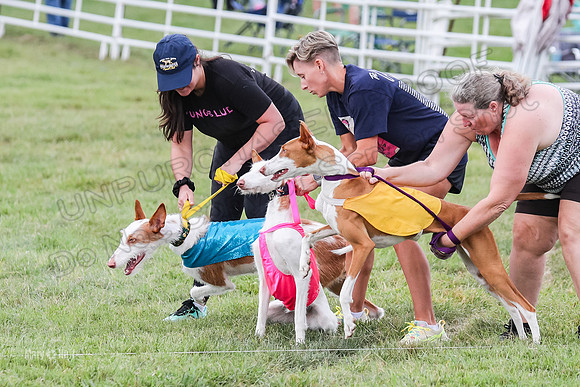 Finals, Specials 1 Madyson Thorn Ionia-7211
