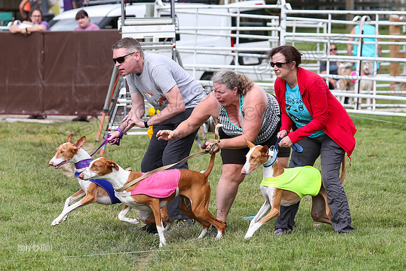 Finals, Specials 3 Libby Ginny Luna-7423