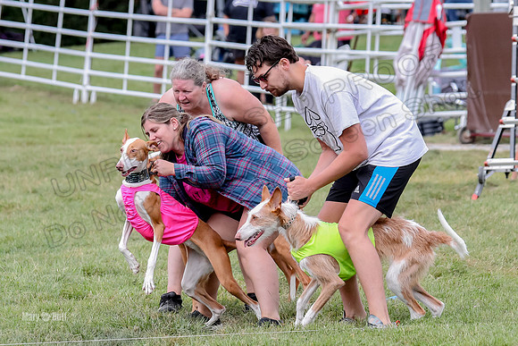 Finals, Specials 2 Fern Beastie Penny-7319