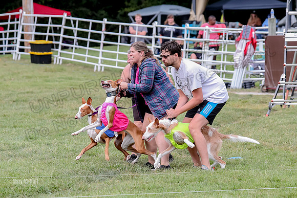 Finals, Specials 2 Fern Beastie Penny-7330