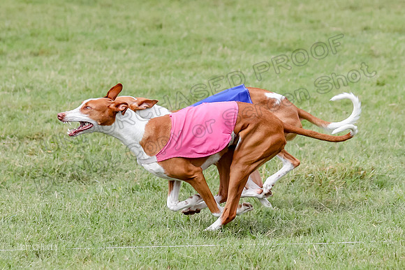 Finals, Specials 3 Libby Ginny Luna-7436