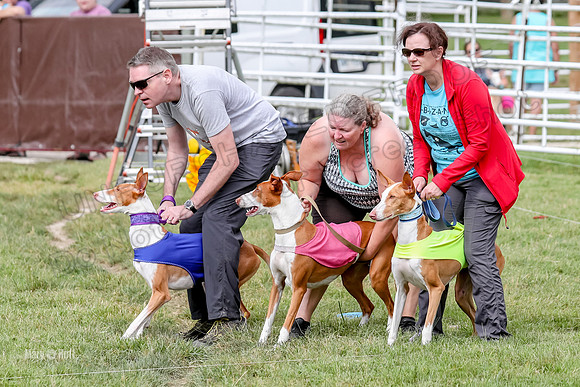 Finals, Specials 3 Libby Ginny Luna-7422