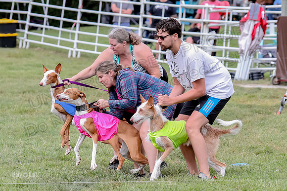 Finals, Specials 2 Fern Beastie Penny-7324