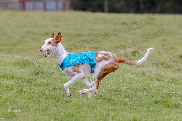 Finals, Specials 1 Madyson Thorn Ionia-7277