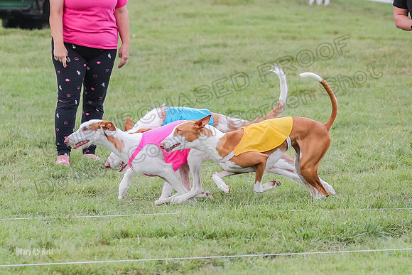 Finals, Specials 1 Madyson Thorn Ionia-7238