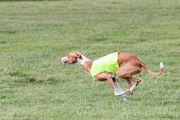 Finals, Specials 3 Libby Ginny Luna-7445