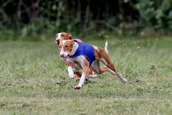 Finals, Specials 3 Libby Ginny Luna-7446