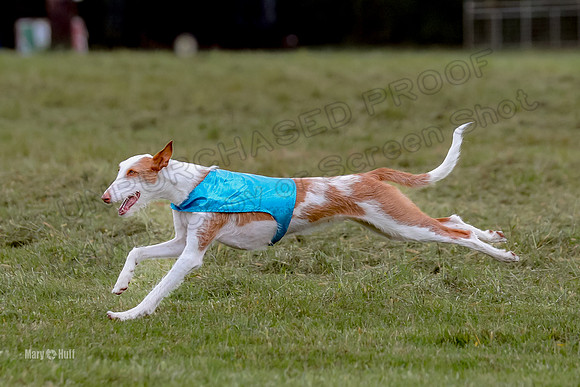 Finals, Specials 1 Madyson Thorn Ionia-7274