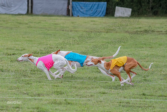 Finals, Specials 1 Madyson Thorn Ionia-7248